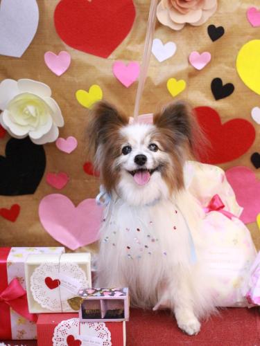 20230208モカくん